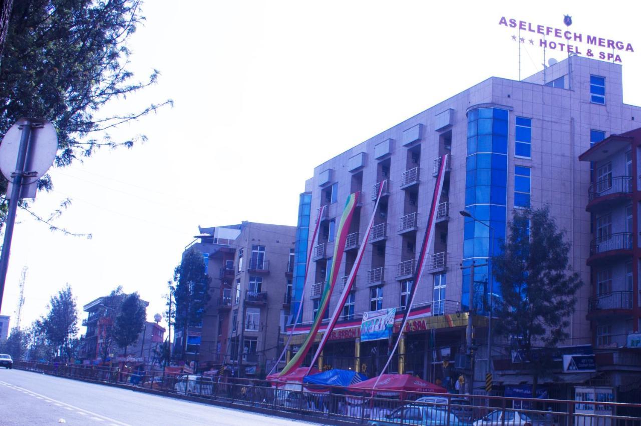 Aselefech Merga Hotel And Spa Addis Abeba Exteriér fotografie